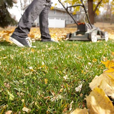 Grow lush grass, even if your lawn looks worn out and unhealthy. By using a combination of soil ...