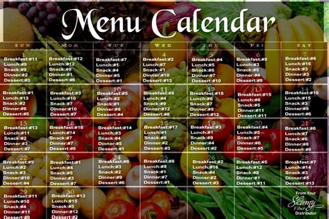 The New You: 30 Day Low Carb Menu and Recipes