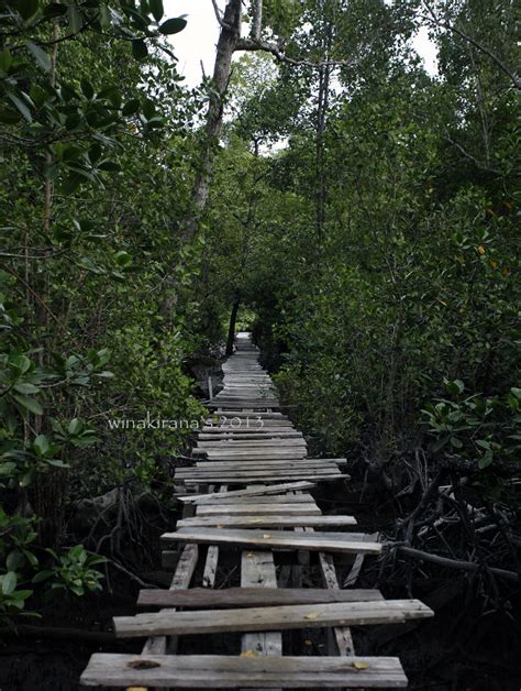 Different Angle of Borneo Jungle | cerita pelosok Indonesia