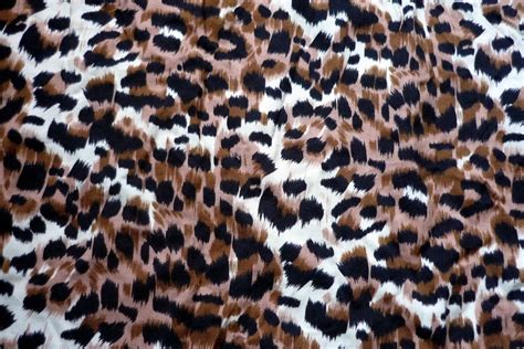 Animal Fabric Patterns 2013 (4) Free Stock Photo - Public Domain Pictures