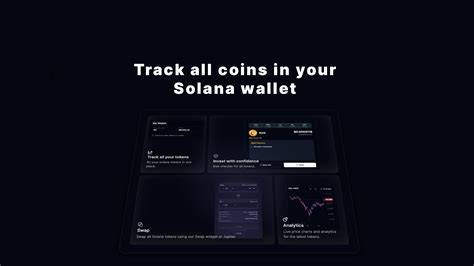 Track all coins in your wallet on Solana Tracker