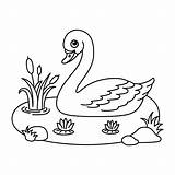 Premium Vector  Cute swan Cartoon coloring page Illustration sketch template