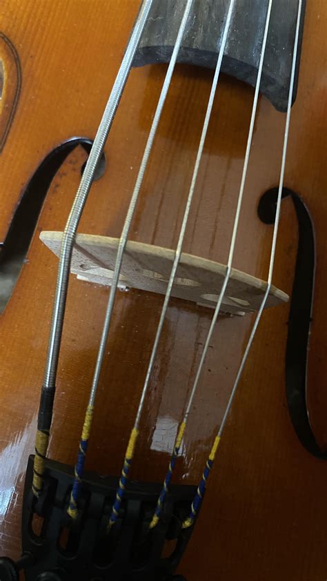 Five string octave violin! It’s tuned a full octave below, sounds a lot like a cello. I know, I ...