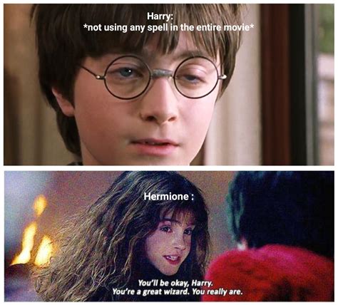 Nice one Hermione : r/HarryPotterMemes