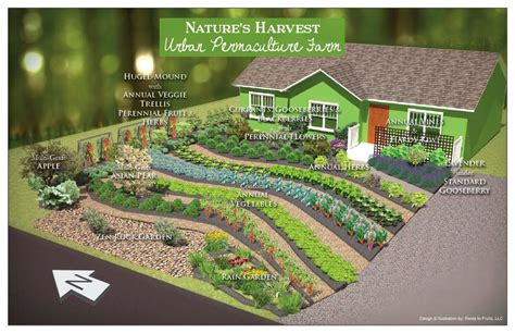 Converting Lawns to Gardens: Nature’s Harvest Permaculture Urban Farm ...