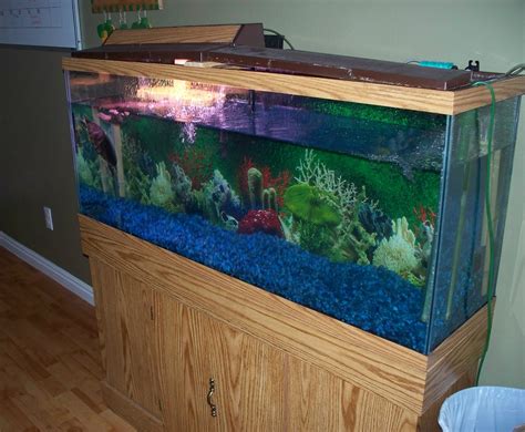 150 Gallon Fish Tank Custom Glass Aquariums Custom
