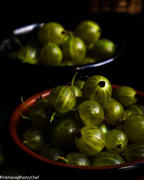 6 Delicious Gooseberry Dessert Recipes - Pink Haired Pastry Chef