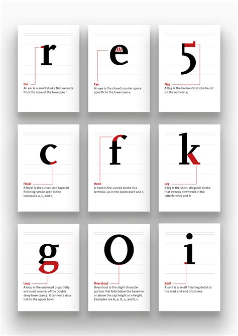 Anatomy the parts of type on Behance