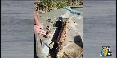 Nebraska man catches fossil of 90 million year old fish