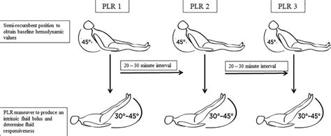 Semi Recumbent Position