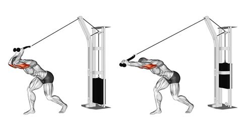 tricep overhead extension rope > OFF-57%