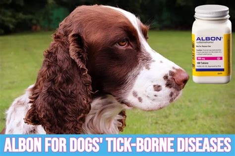 Albon (Sulfadimethoxine) For Dogs Tick-Borne Diseases