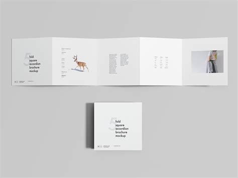 5 Fold Square Accordion Brochure Mockup