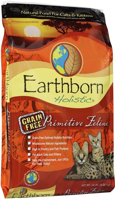 Best Grain Free Dry Cat Food | iPetCompanion