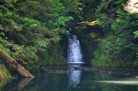 South Creek Falls, Oregon, United States - World Waterfall Database