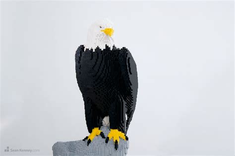 Sean Kenney's art with LEGO bricks : American bald eagle