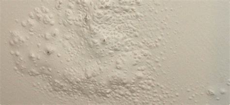 Most Common Causes for Paint Peeling, Cracks & Bubbles | Pizzazz Painting