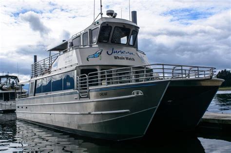 Best Whale Watching Boats in Juneau, AK - Juneau Tours