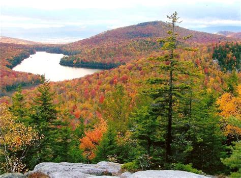 My cousin's shot of the Vermont Green Mountains. We were there during peak of fall foilage ...