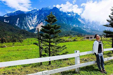 Desa farm ticket | 👉👌Alpaca Club Sabah: Newest Animal Attraction In Sabah With A View Of Mount ...