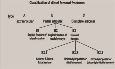 Distal Femur Fracture Classification