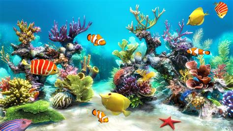 HD Aquarium Wallpapers - Top Free HD Aquarium Backgrounds - WallpaperAccess