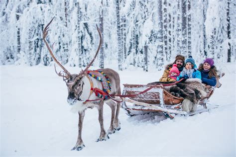 reindeer-ride-santa-claus-village-rovaniemi-lapland-finland (16) (1 ...