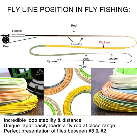 Fly Line Weight Chart