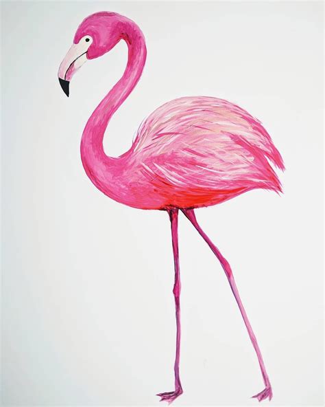 Flamingo drawing illustration | How to draw flamingo, Flamingo, Drawing ...