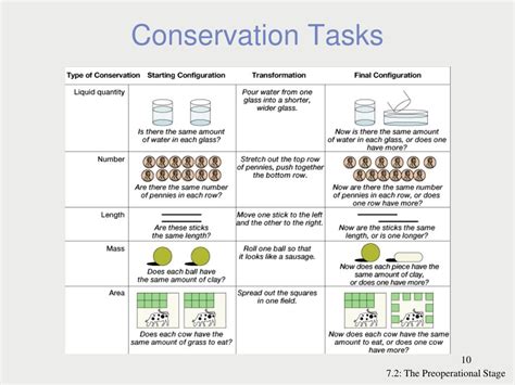 PPT - Piaget’s Theory of Cognitive Development PowerPoint Presentation ...