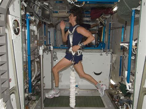 How to become a NASA astronaut - Business Insider