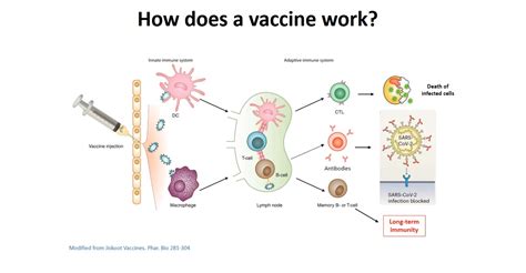 Oireachtas Friends of Science host talk on Covid-19 vaccines – 2 Dec 2020, 16.00 – Houses of the ...