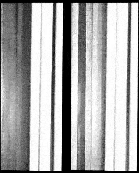 black and white photograph of curtains with vertical blinds