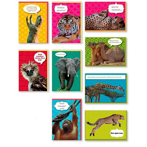 Assorted 9-Pack Animal Box Set All Occasion National Geographic Greeting Cards Bulk with Tiger ...