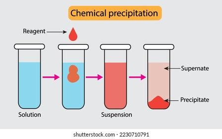 Illustration Chemical Precipitation Reaction Suspension Solutionvector ...