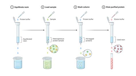 Affinity Chromatography Apparatus