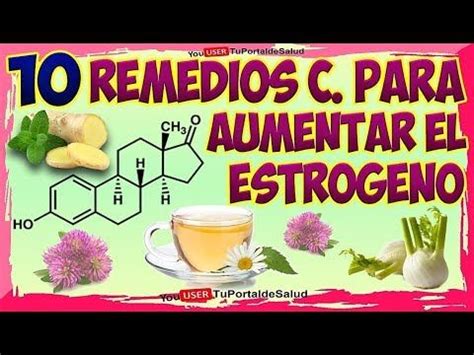 10 Remedios Caseros para Aumentar los Estrógenos - Alimentos para ...