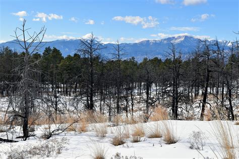 Black Forest Regional Park - Getting Lost on the Front Range