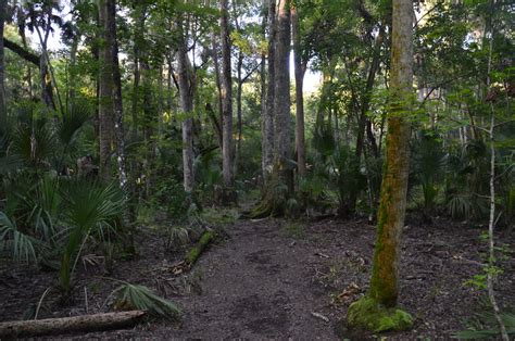 Hillsborough River State Park: Rapids Trail and Florida Trail Loop ...