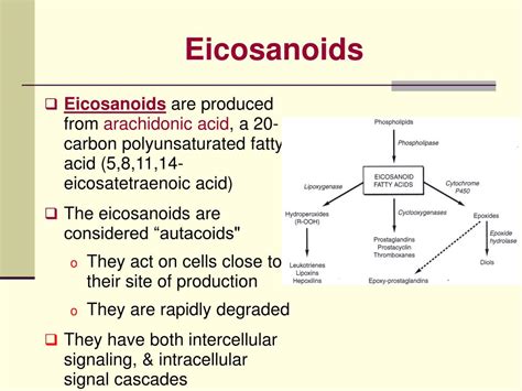 PPT - Eicosanoids PowerPoint Presentation, free download - ID:6877143