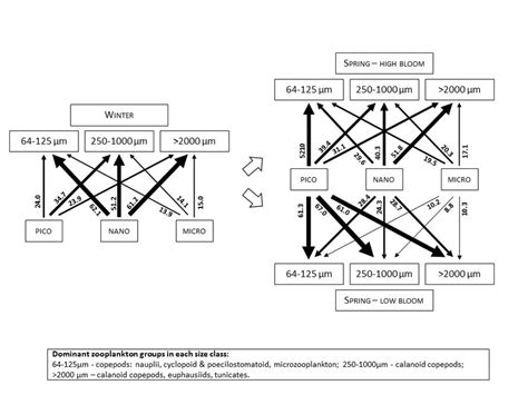 Relative contributions pico, nano and microplankton biomass to the... | Download Scientific Diagram