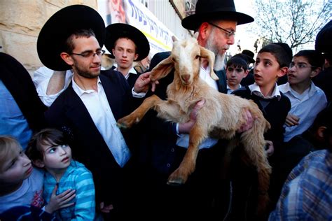 Jerusalem Police Thwart Passover Goat Sacrifice Plot – The Forward