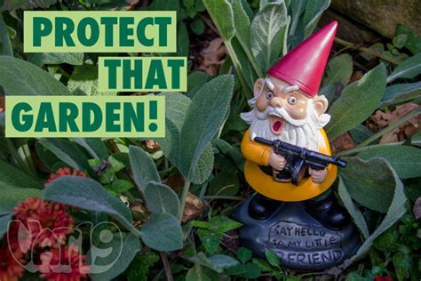 Angry Little Garden Gnome: Available now!