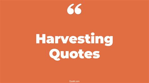 45 Delightful Harvesting Quotes | what you plant is what you harvest, good harvest quotes