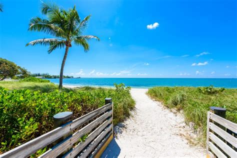 Best Beaches In Florida Keys Which Florida Keys Beach Is Right For | Hot Sex Picture