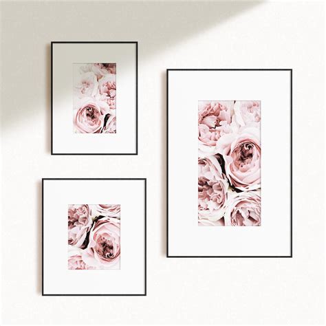 Set of 3 Blush Pink Peonies Prints Peony Print Floral Print - Etsy