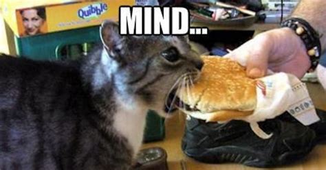 14 National Cheeseburger Day Memes That Will Make Your Mouth Water