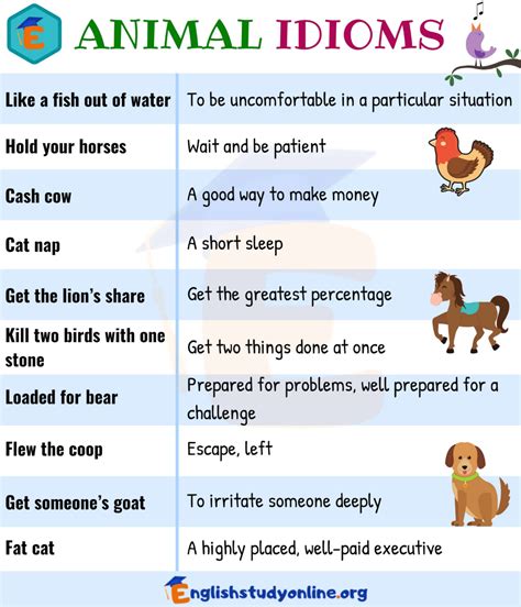 Admire 10 English Idioms For You