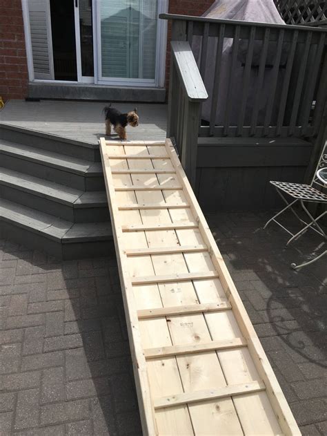 Pet Ramp For Stairs Outside | Pets Animals US