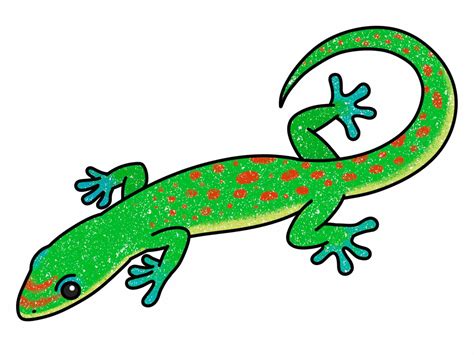 Reptiles Drawings